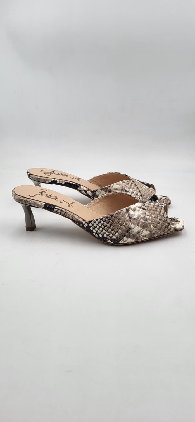 PHOTO-2026-05-15-11-26-03